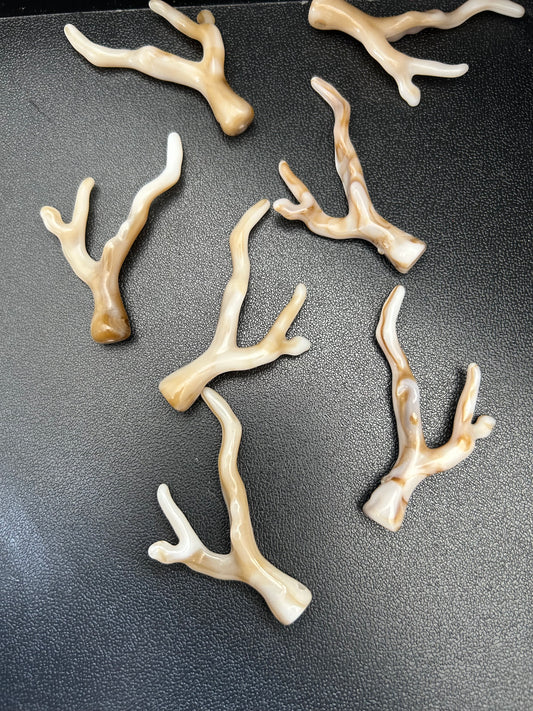 2 inches long coral stick