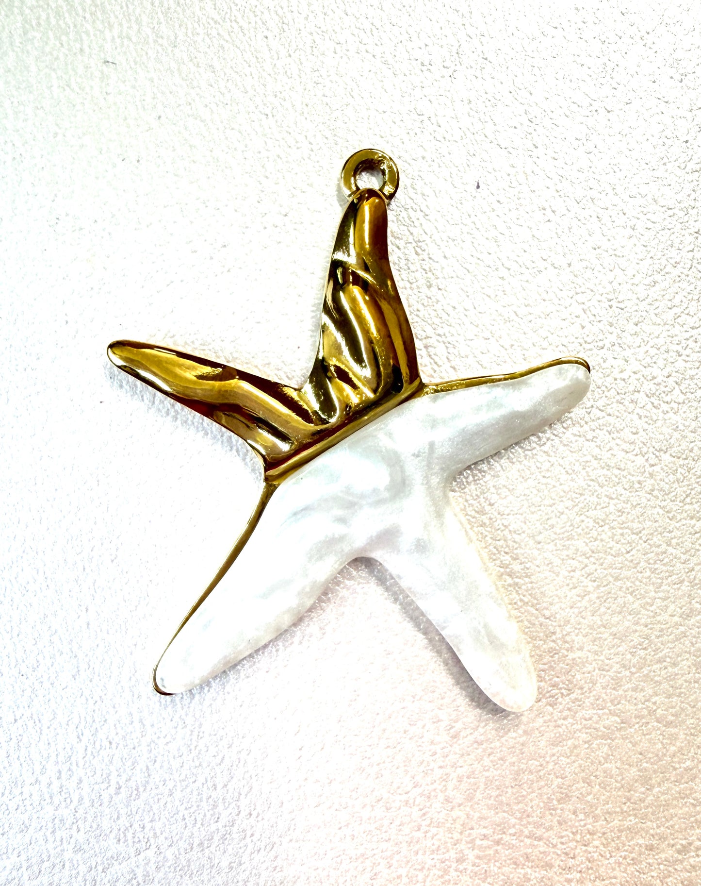 36mm Starfish Stainless Steel 65001