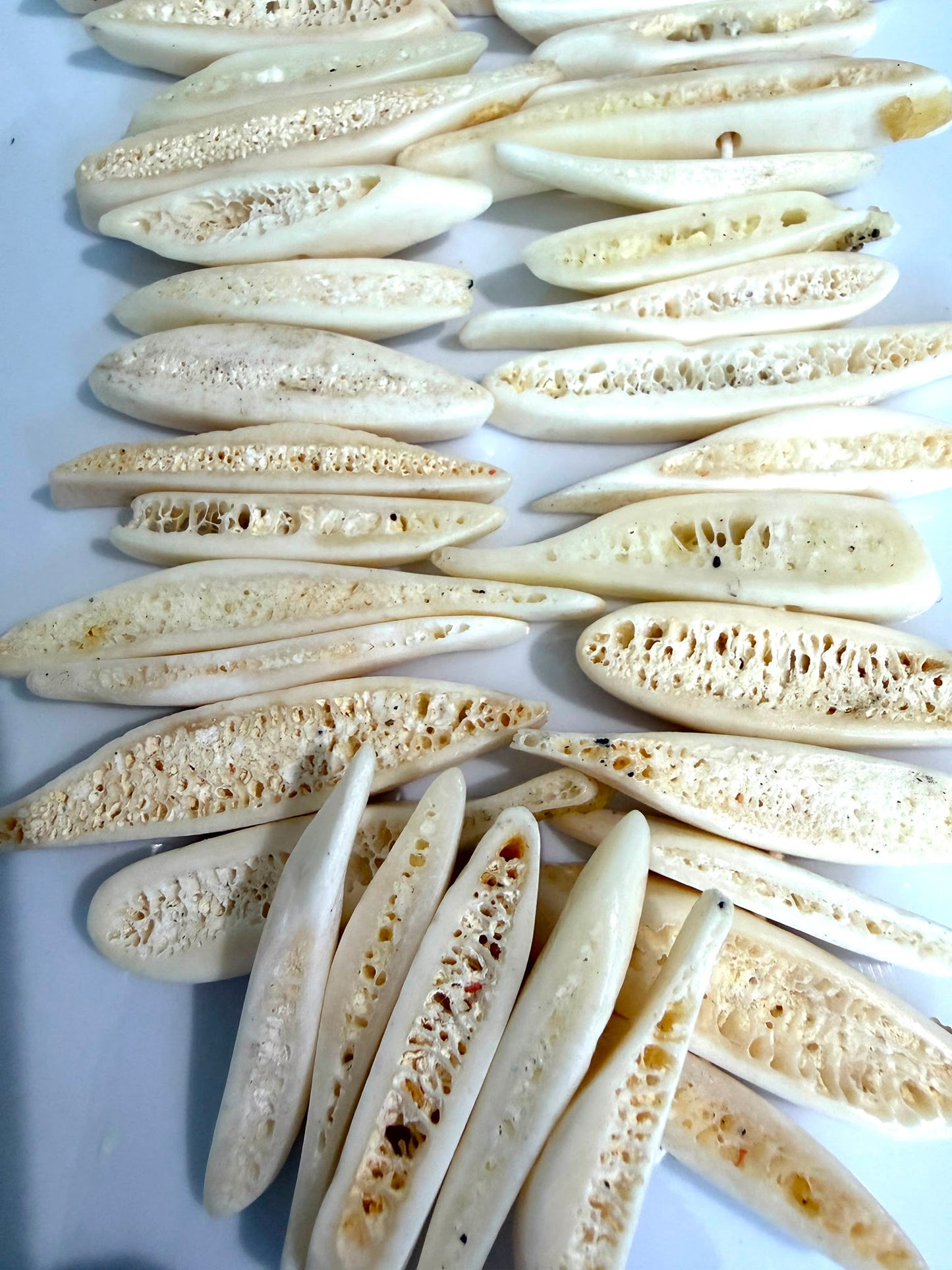 Bone Spikes (Cream)