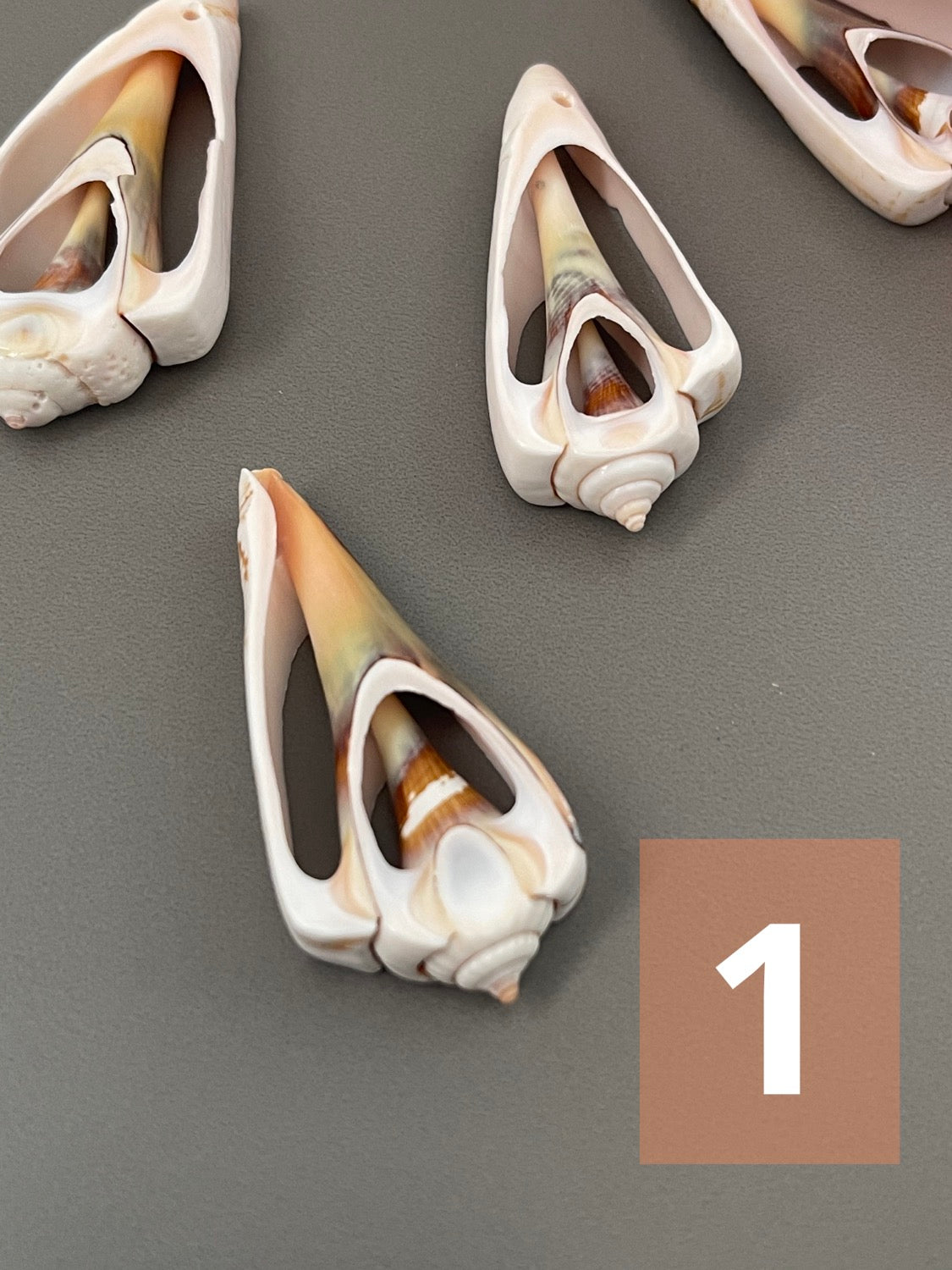 Diff. Size Shells qty1- 18277/ 18276/ 10900/ 18329/ 22458