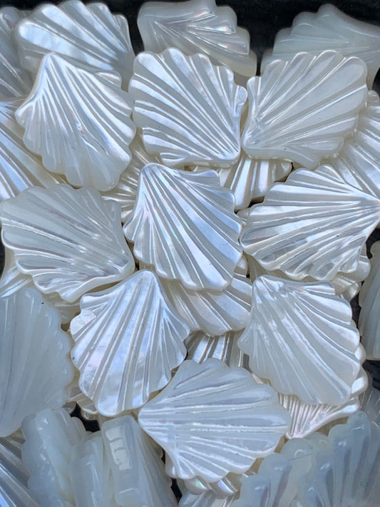 15x12mm shell mother of pearl top quality / Madre Perla Conacha 13404