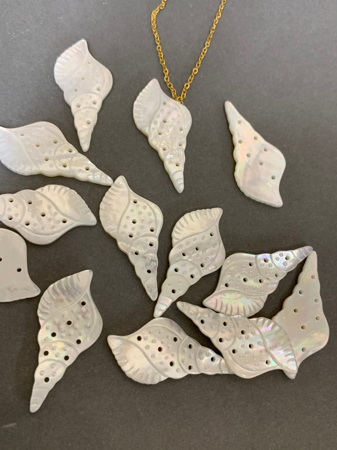 38mm Shell Mother of Pearl Qty1 / Caracol Madre Perla 20366