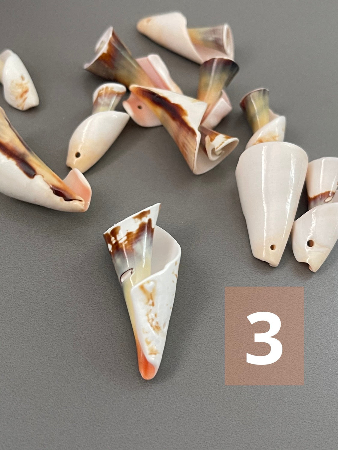 Diff. Size Shells qty1- 18277/ 18276/ 10900/ 18329/ 22458