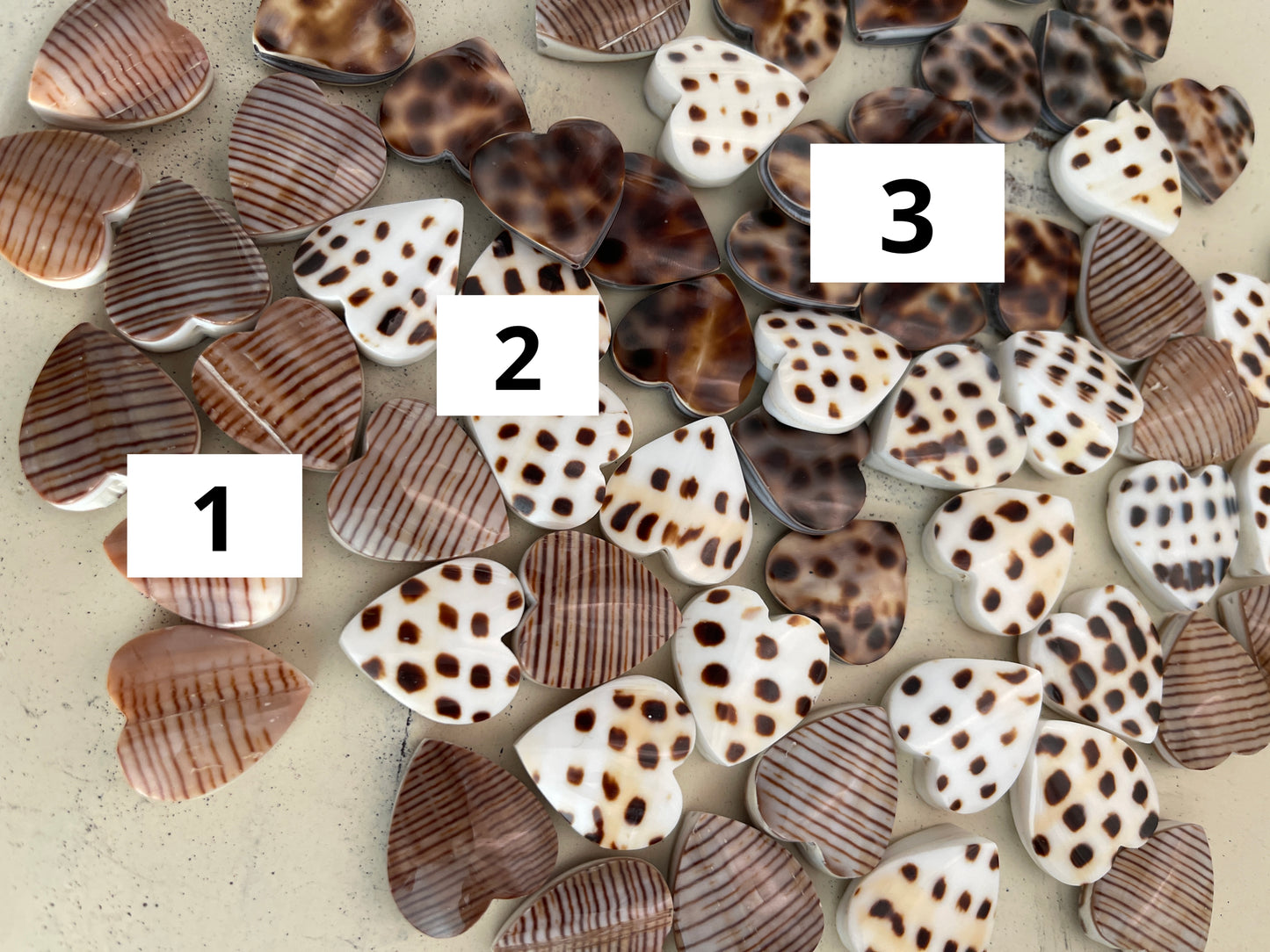 20mm sea Shell hearts 💕 qty 1 23906