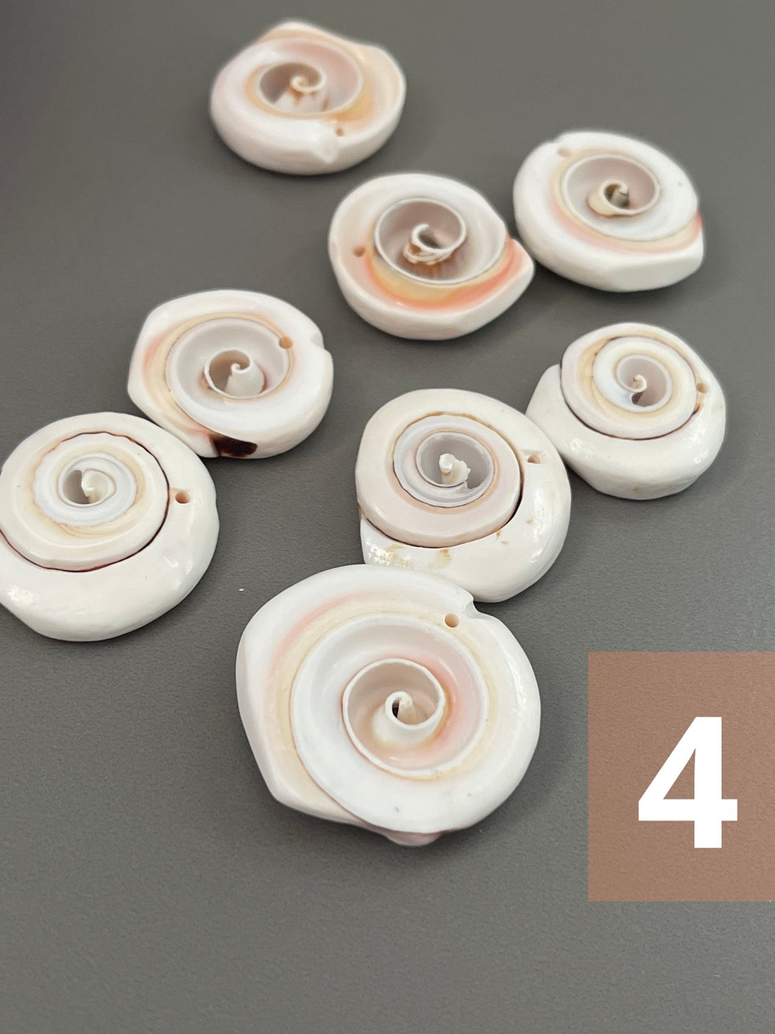 Diff. Size Shells qty1- 18277/ 18276/ 10900/ 18329/ 22458