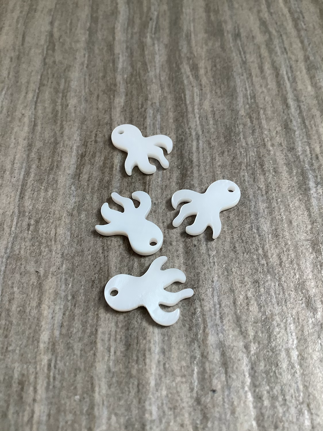 15mm Octopus Shell qty1-22734