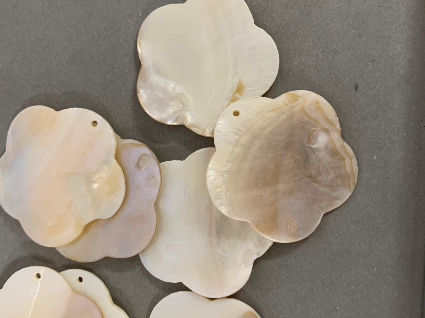 50mm Flower Freshwater Qty 1 / 20751