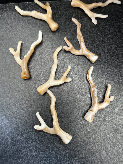 2 inches long coral stick