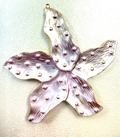 60mm Starfish Stainless Steel