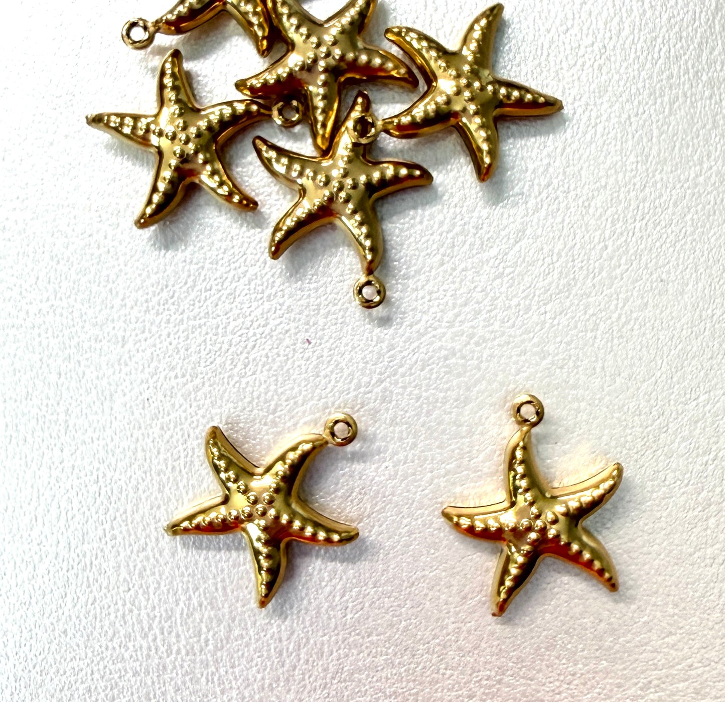 19mm Starfish Stainless Steel