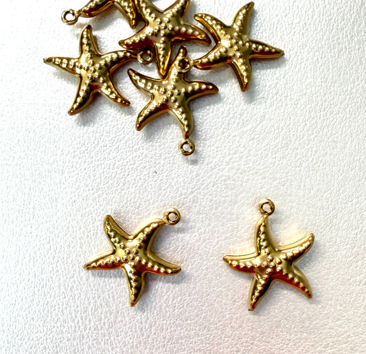 19mm Starfish Stainless Steel