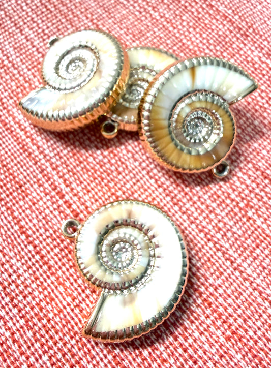 3mm Resin Shell with Golden Border
