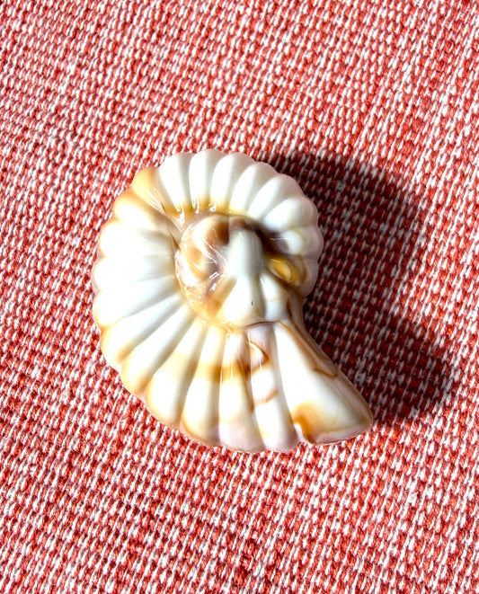 41mm Acrylic Shell