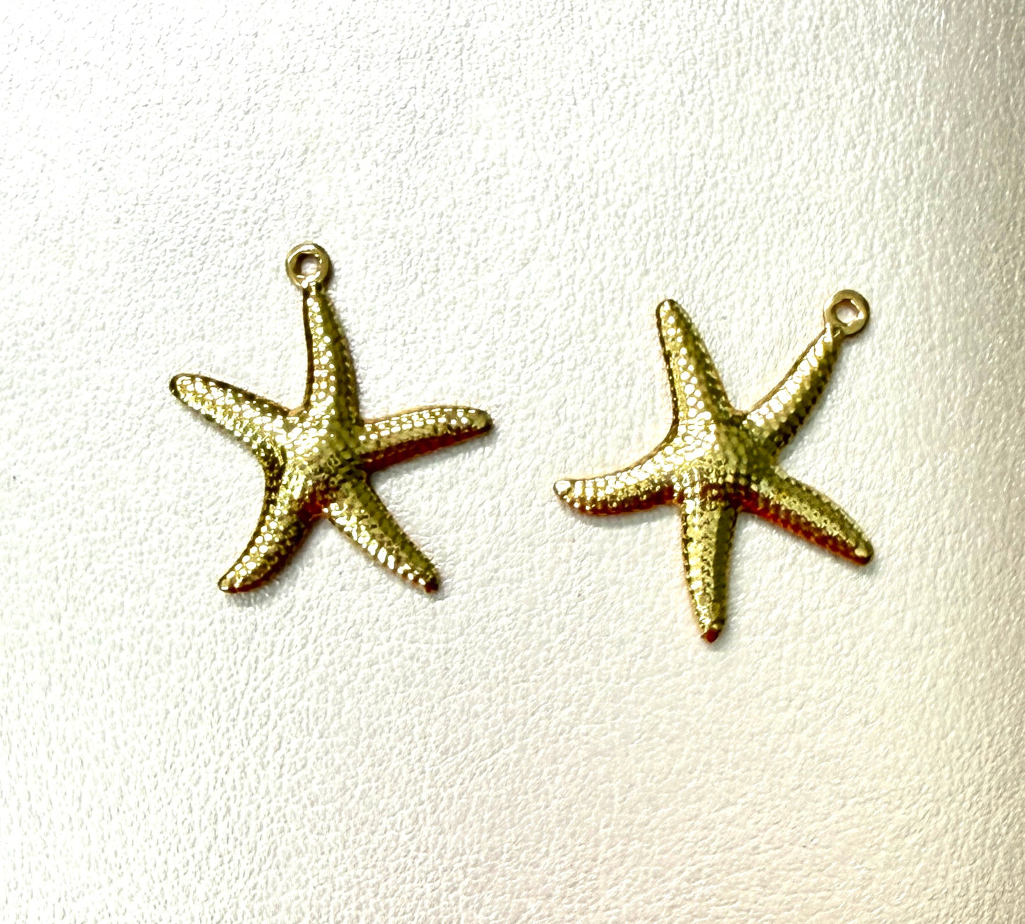 22mm Starfish Stainless Steel