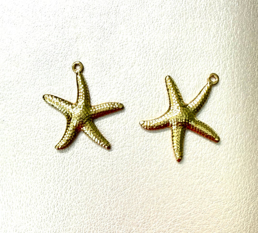 22mm Starfish Stainless Steel