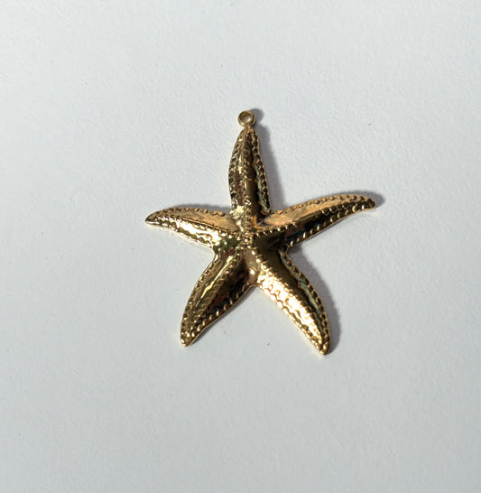 42mm Starfish Stainless Steel