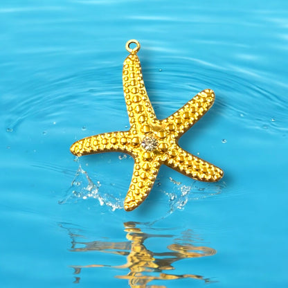Stainless steel starfish