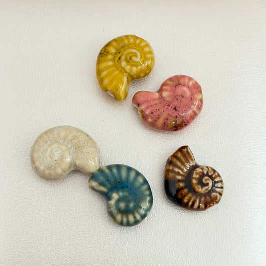 Paquetes de 5 Ceramic Shell Multicolor
