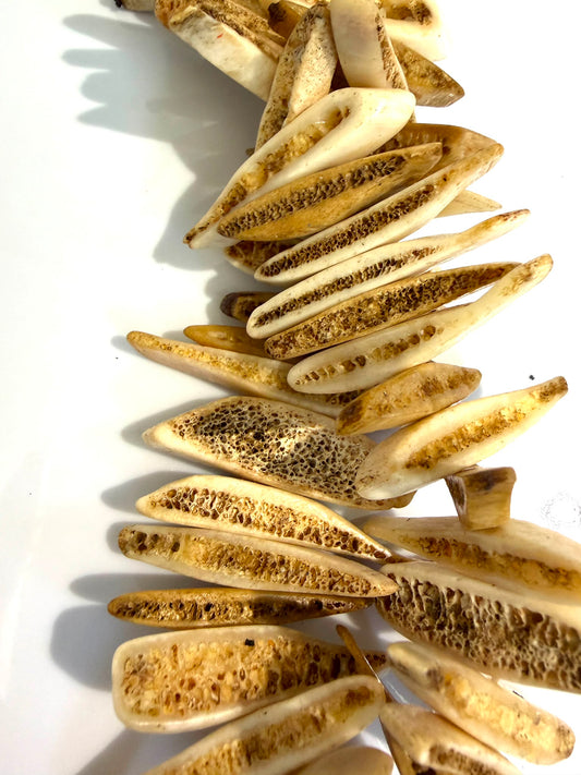 Bone Spikes (Bone) 1/2 Strand)