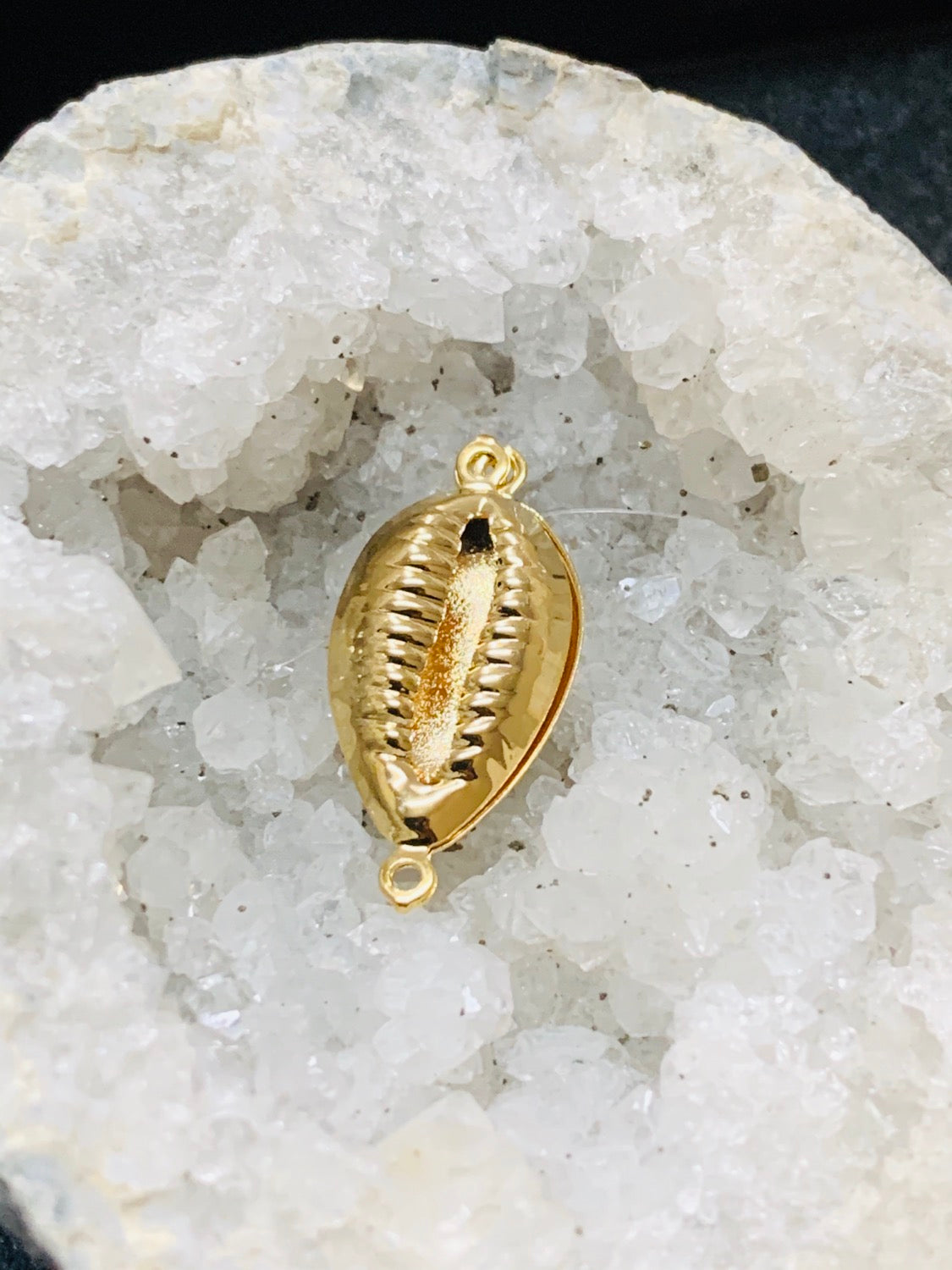 21mm gold filled cowrie / caracol 17869
