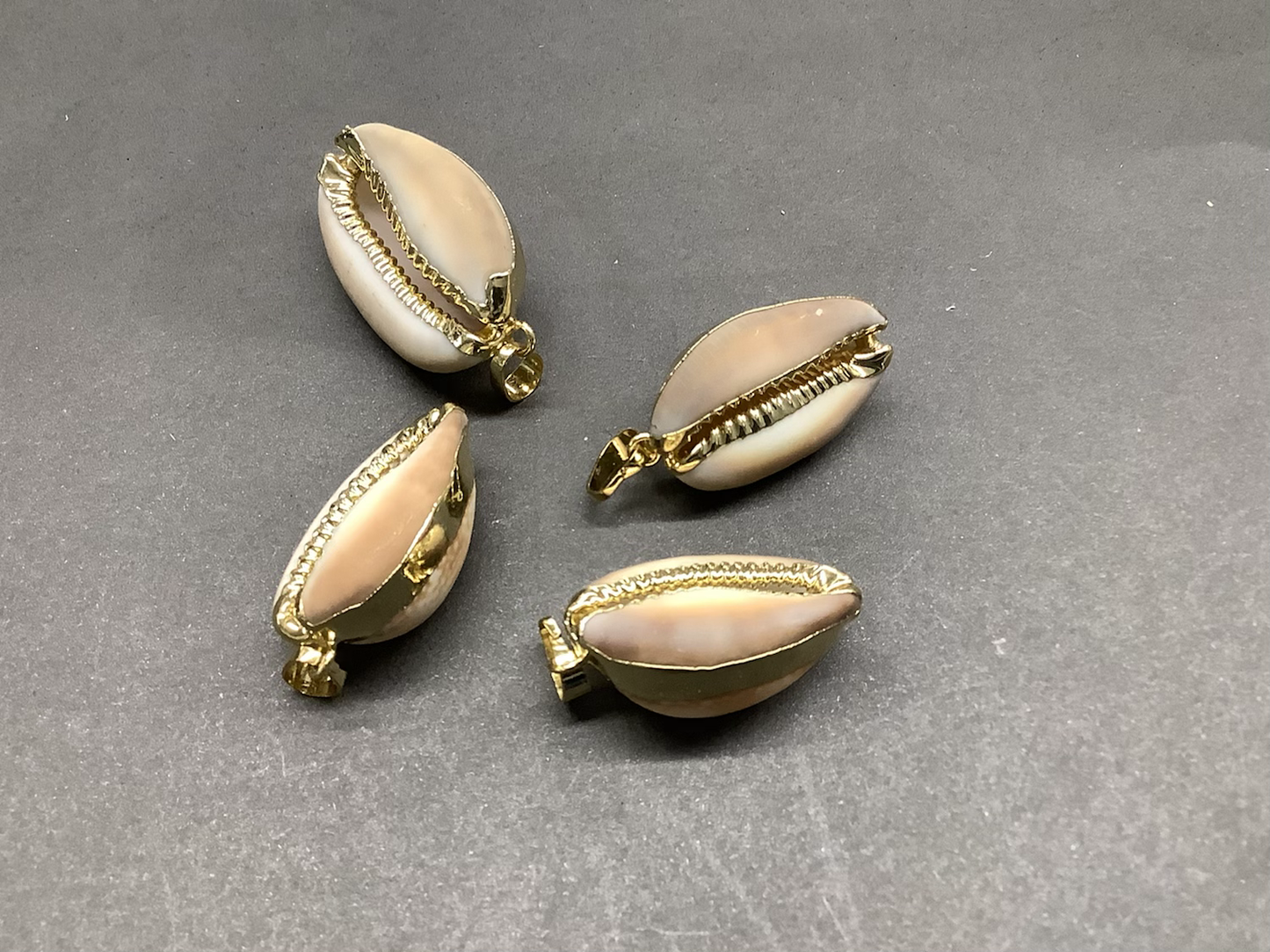 31mm cowrie with gold qty 1 concha 18888