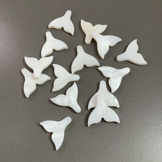 18x19mm white tail shell qty1 - 22841