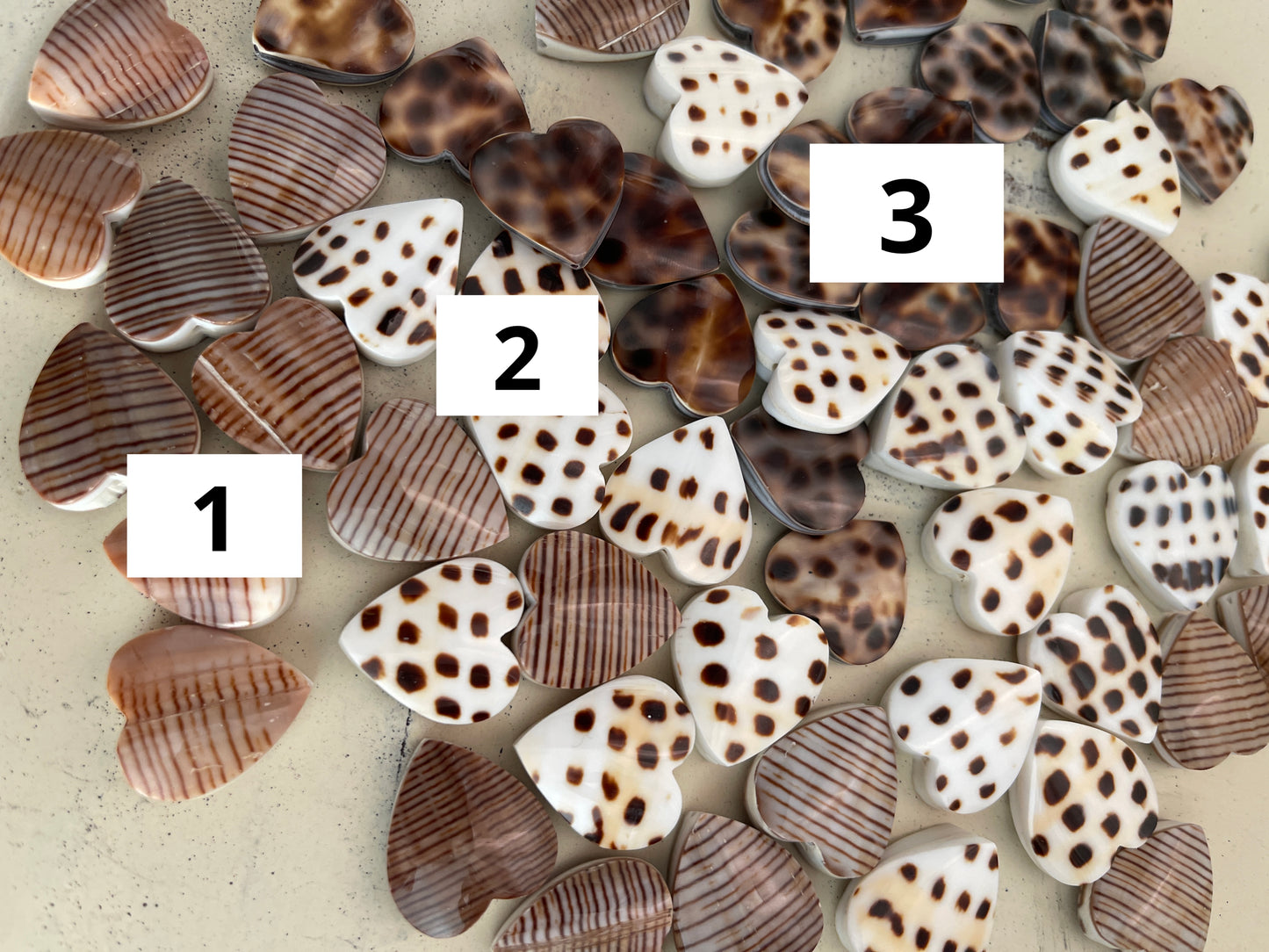 20mm  sea Shell hearts 💕 qty 1  23906