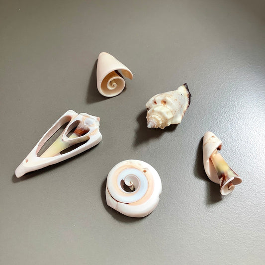 Diff. Size Shells qty1- 18277/ 18276/ 10900/ 18329/ 22458