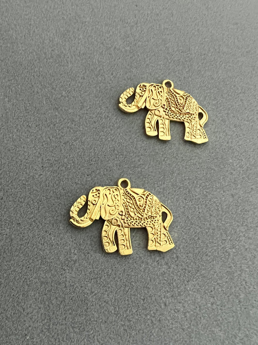 35mm elephant 25488